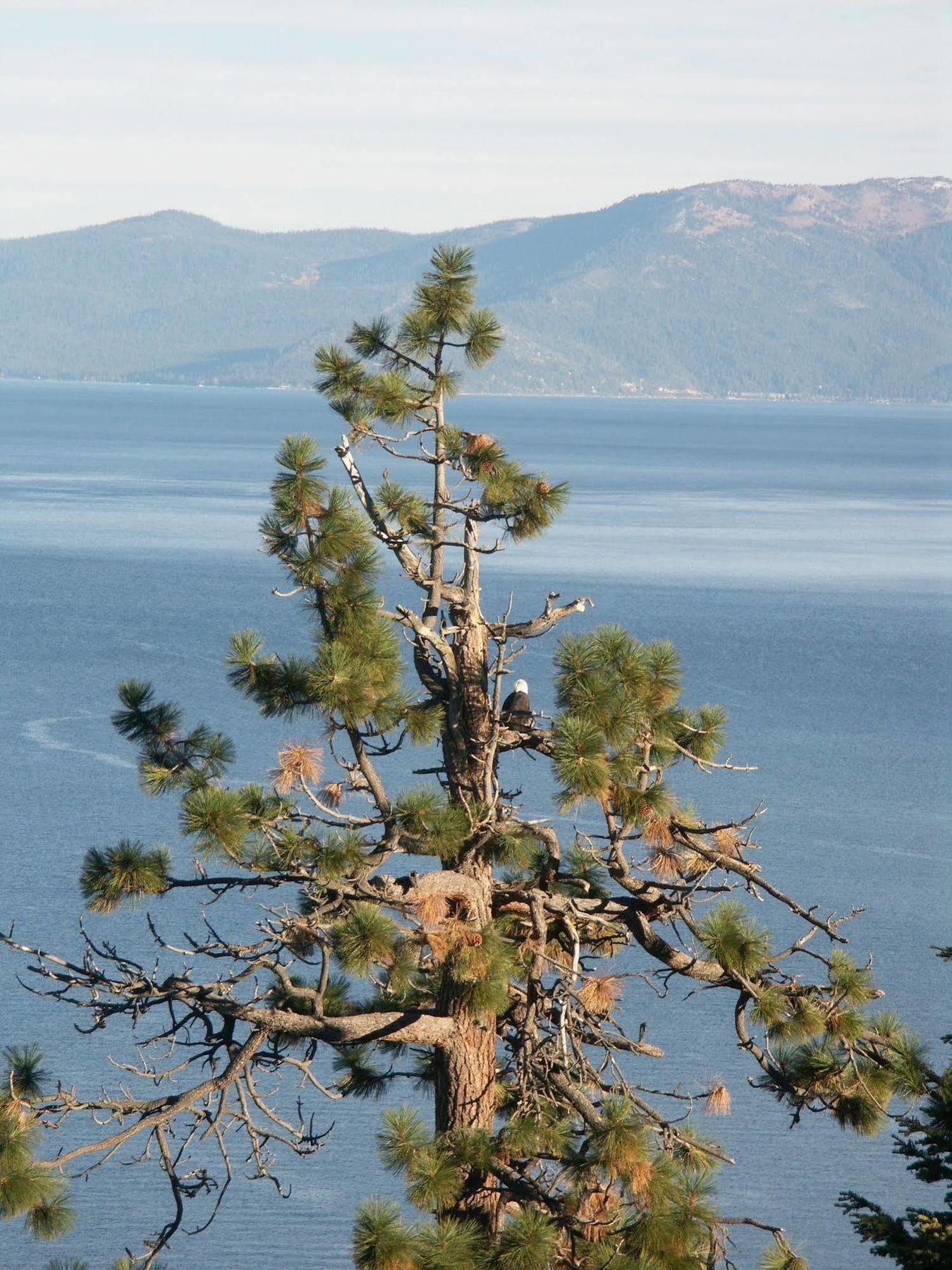 Where Eagles Fly Bed & Breakfast Elk Point ภายนอก รูปภาพ